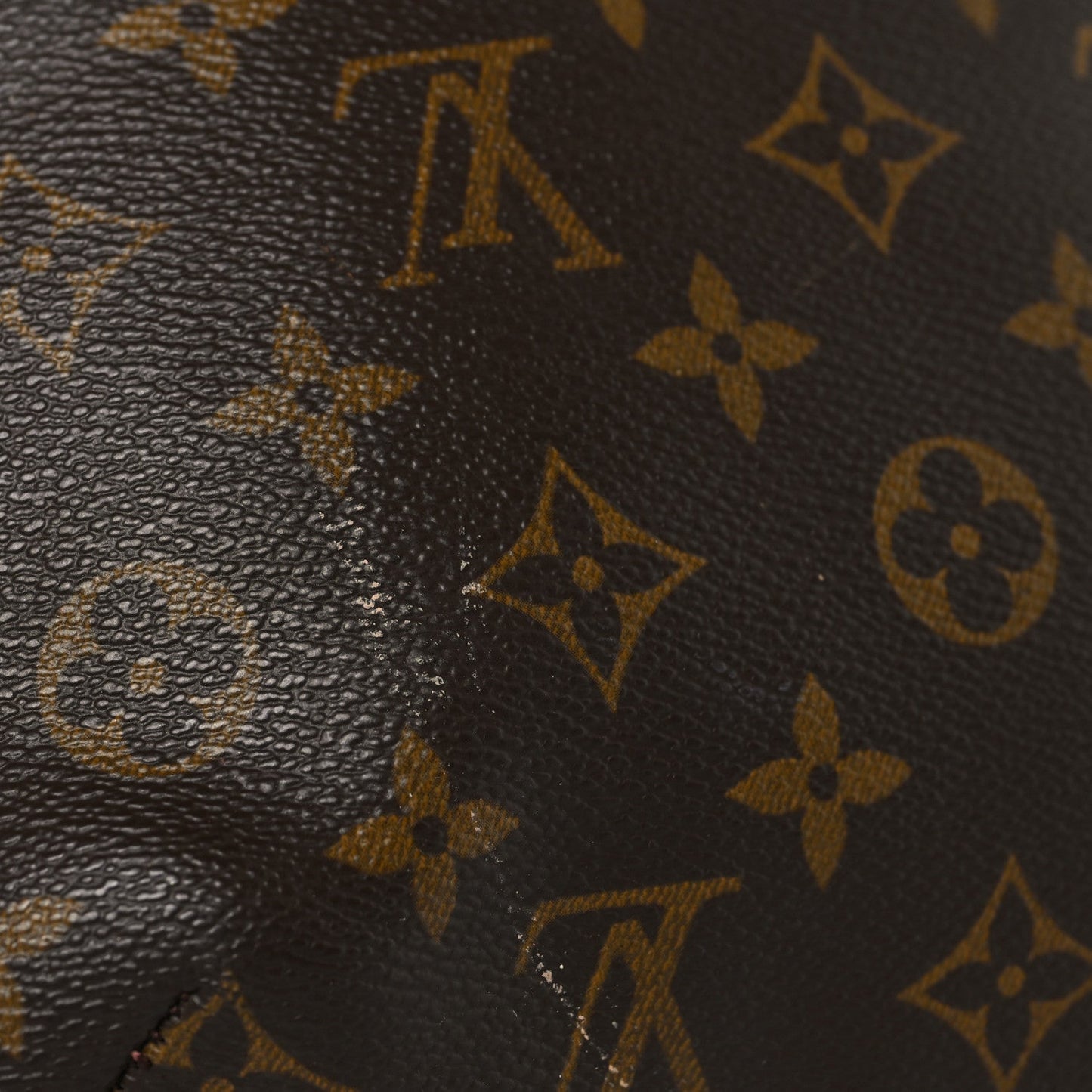 Monogram Musette Salsa