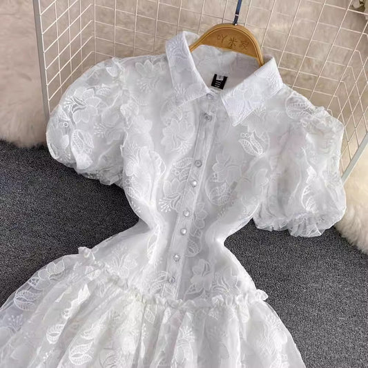 Embroidered Puff Sleeve A-Line Cake Dress for Women S4324
