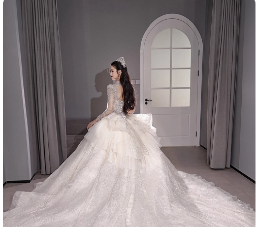 Chic A-Line Long Wedding Dress Tulle White Bridal Gown Long Sleeves Bridal Dresses