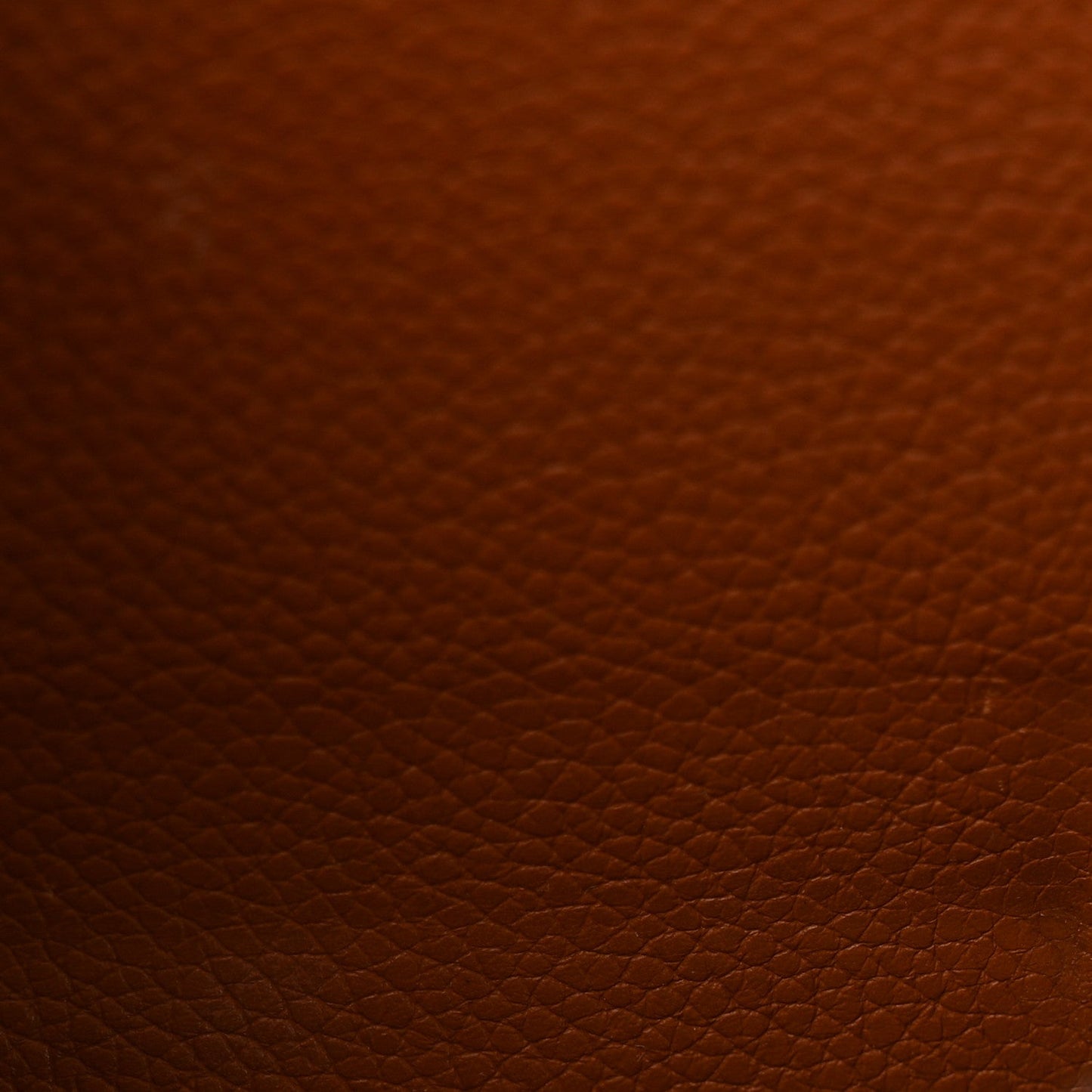 Monogram Olympe Camel