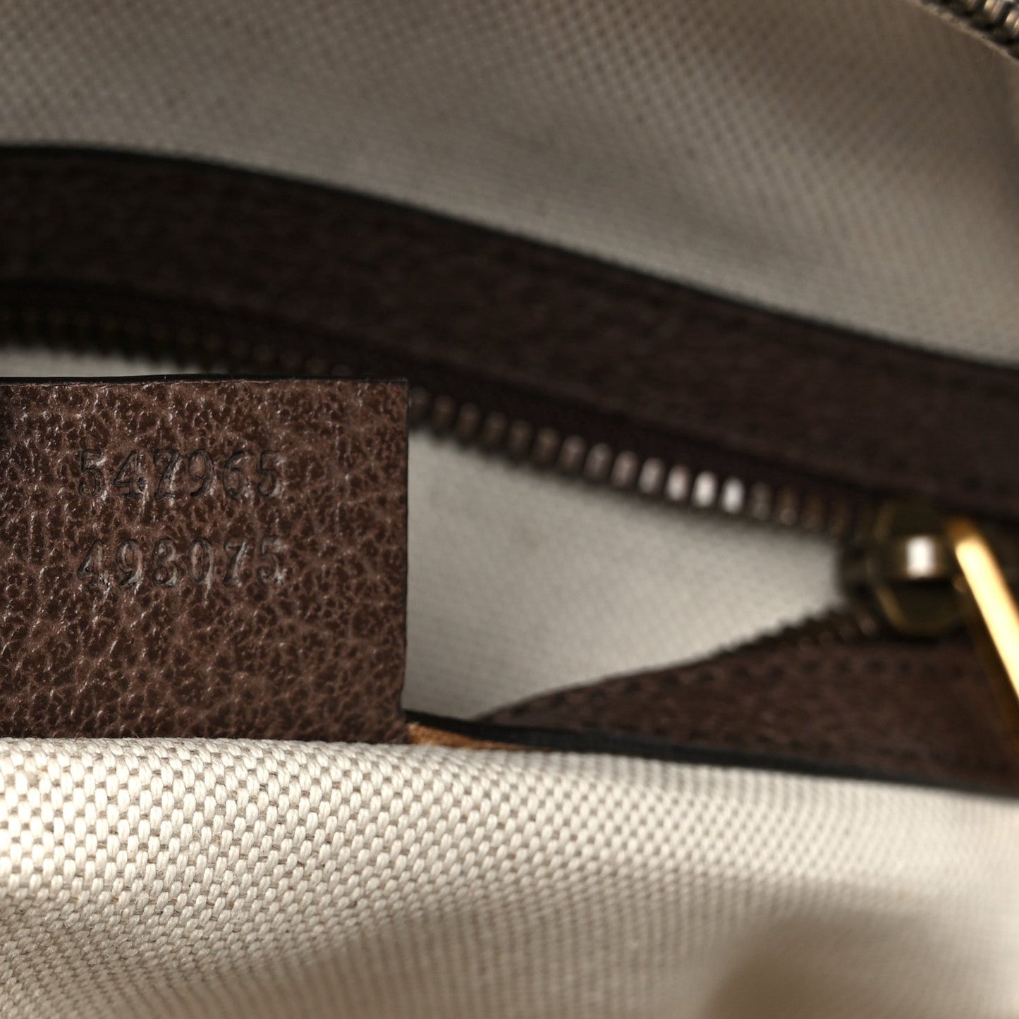 GG Supreme Monogram Calfskin Web Small Ophidia Day Backpack Beige Ebony New Acero