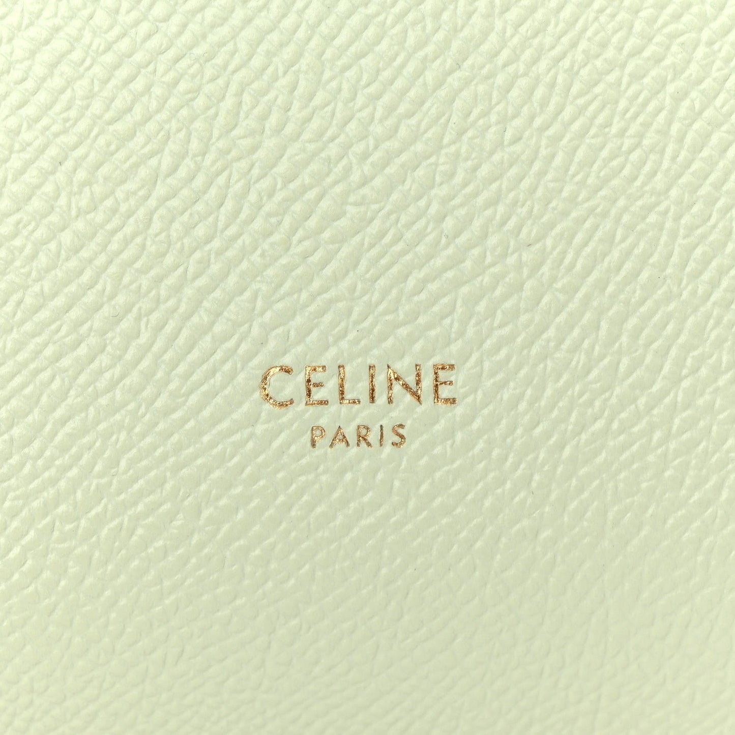 Grained Calfskin Nano Belt Bag Jade