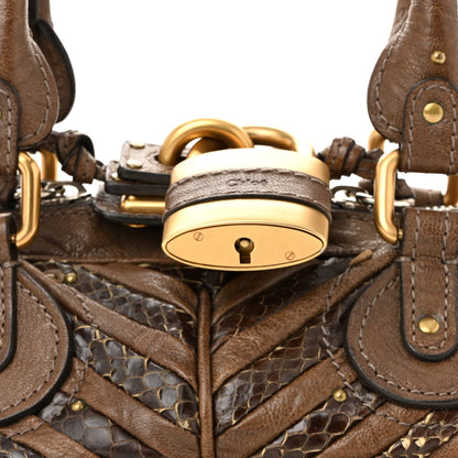 Snakeskin Grained Calfskin Chevron Paddington Brown