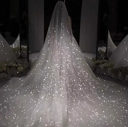 Sparkle White Sequined Wedding Veil