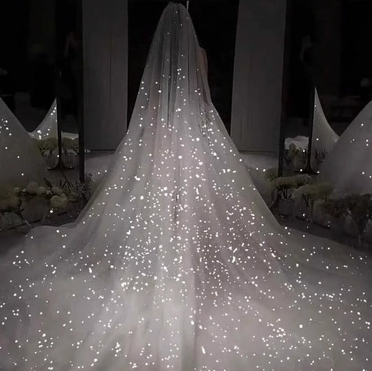 Sparkle White Sequined Wedding Veil