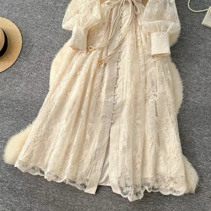 Vintage French V-neck Lantern Sleeve Single-breasted Waist Draw-in Embroidered Dress TP2839