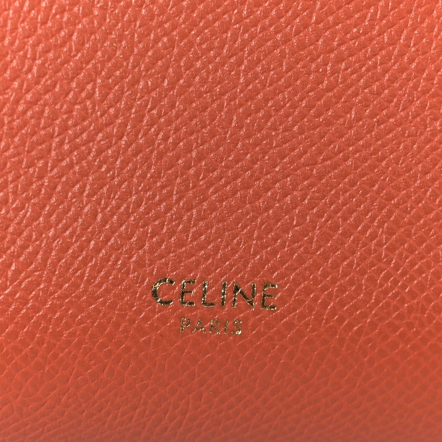 Grained Calfskin Nano Belt Bag Terracotta