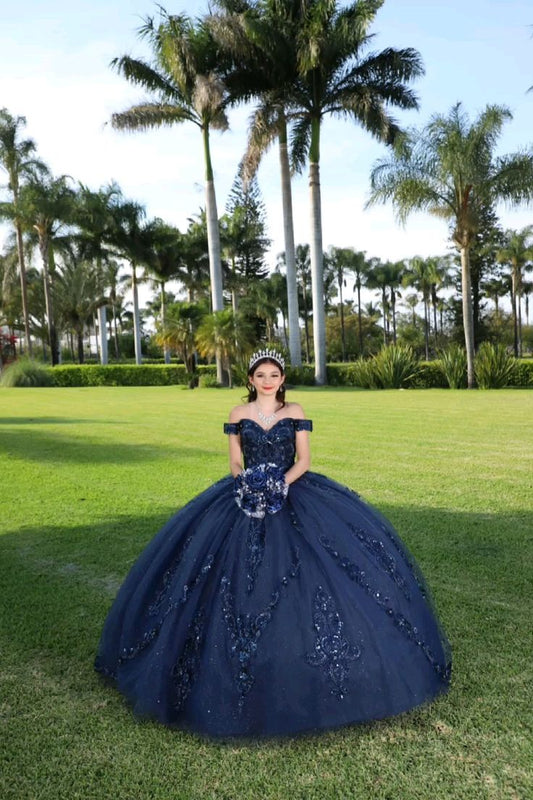 Navy Blue quinceañera dress Sweet 15 16 Prom Party Ball Gowns