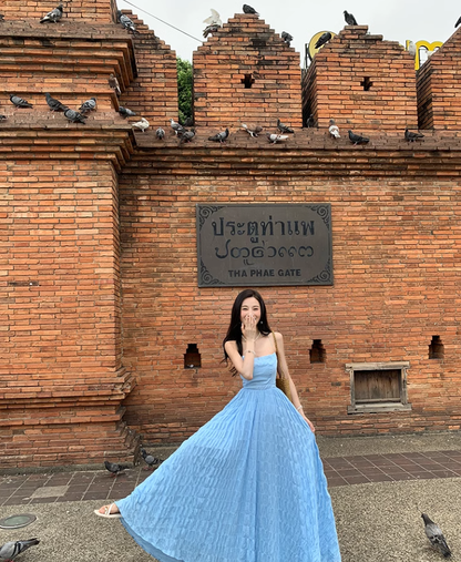 Beach dress suspenders backless dress temperament long skirt holiday style R1565