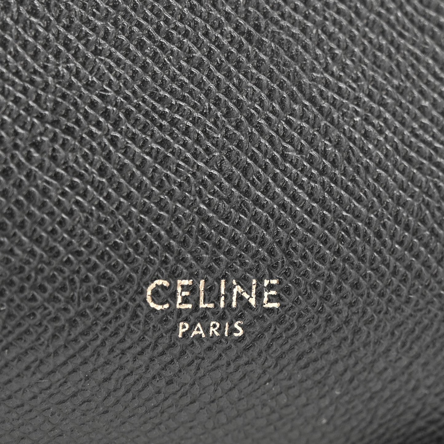 Grained Calfskin Mini Belt Bag Black
