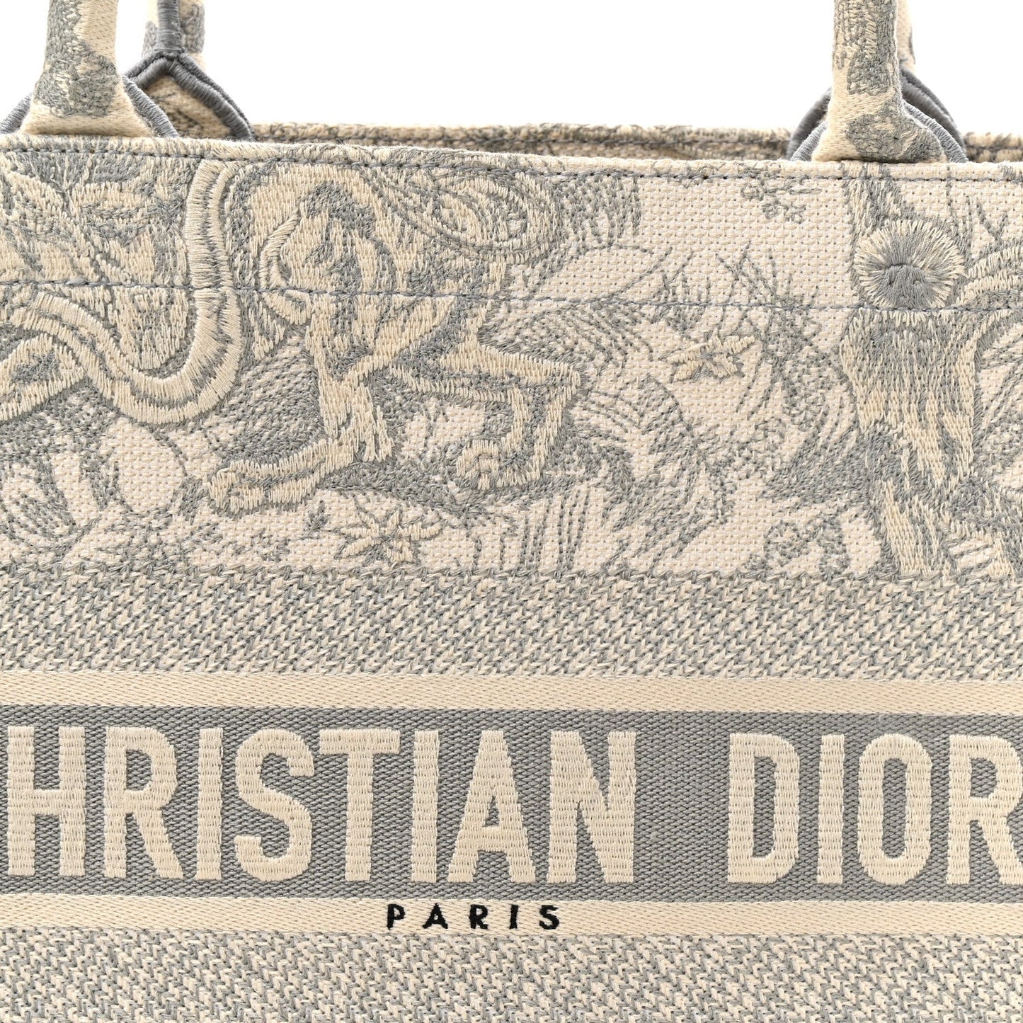 Canvas Embroidered Medium Dioriviera Toile De Jouy Book Tote Gray