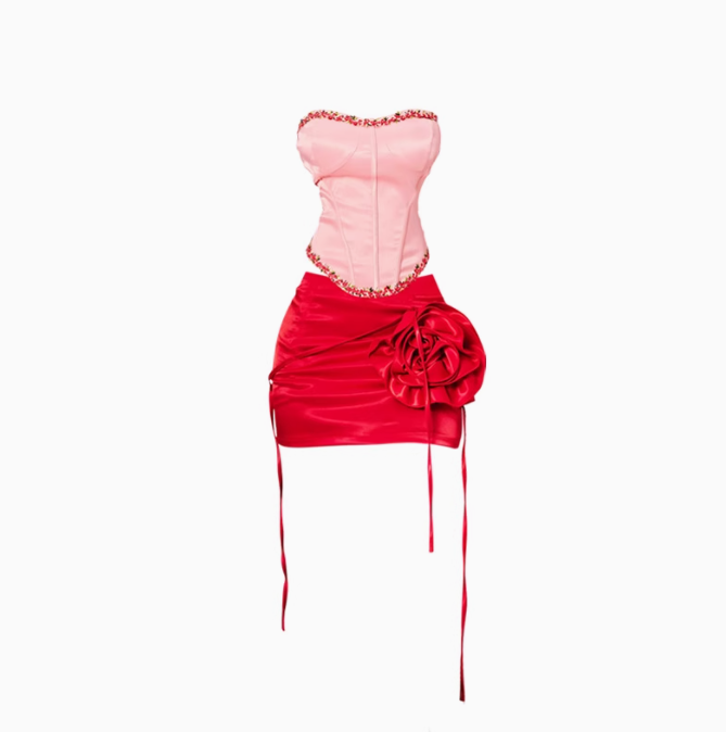 Embroidered tube top 2025 plus size design three-dimensional rose skirt suit R1248