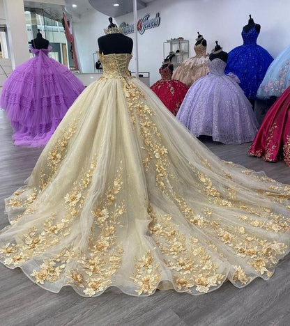 Quinceanera Dress Prom Ball Gowns Applique Corset Back Prom Sweet 16 Dress