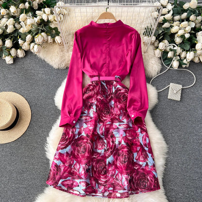 elegant dress for women elegant lady dress long skirt     S4508