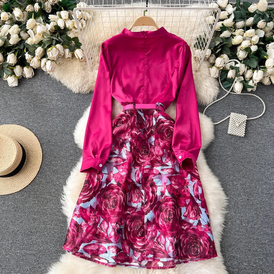 elegant dress for women elegant lady dress long skirt     S4508
