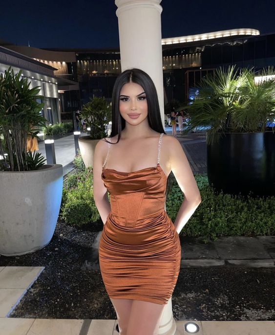 Sheath Brown Party Dress Lady Fashion Homecoming Gown
