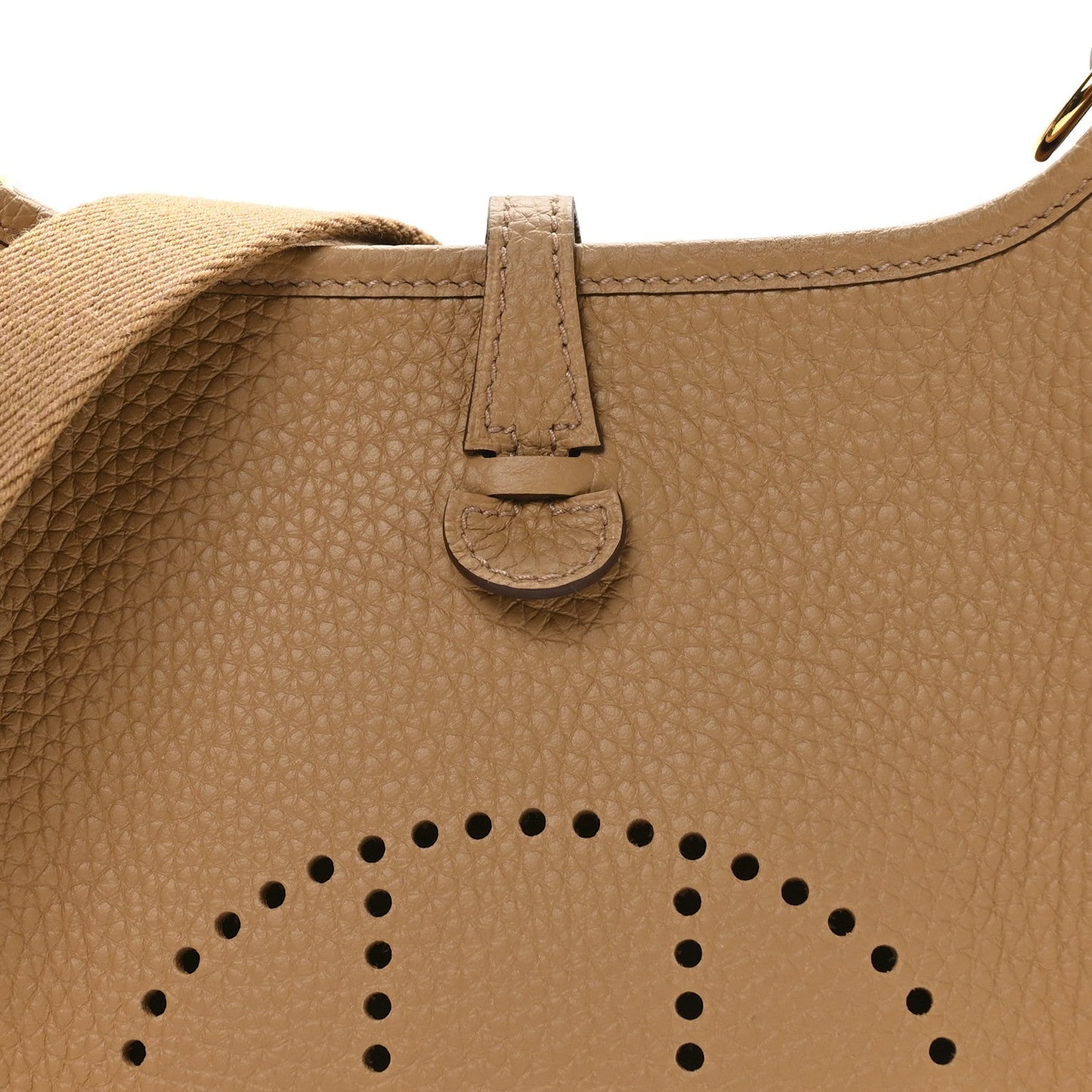 Taurillon Clemence Evelyne TPM Biscuit