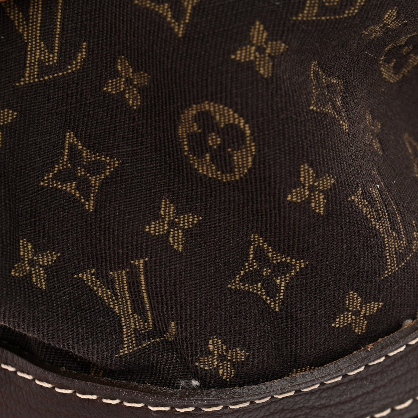 Mini Lin Monogram Bucket Bag Ebene
