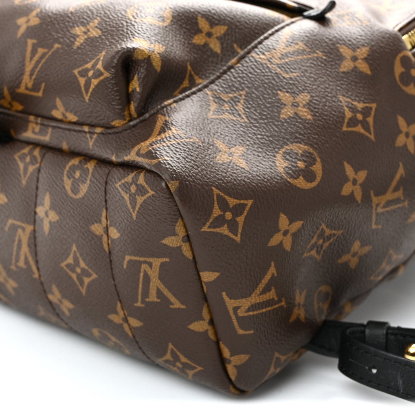 Monogram Palm Springs Backpack MM