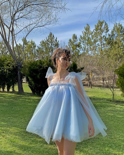 Baby Blue Tie Up Organza A-Line Homecoming Dresses