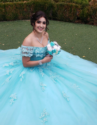 Off The Shoulder Lace Tulle Ball Gown Princess Dress Y3087