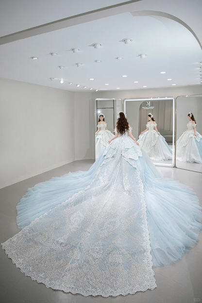 Timeless Ball Gown Off The Shoulder Tulle Sequin Lace Long Wedding Dresses C4088