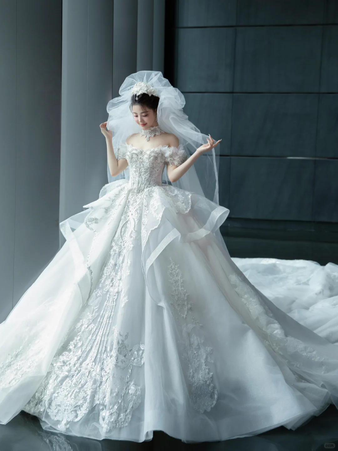 Dreamy Ball Gown Off The Shoulder White Tulle Lace With Veil Long Wedding Dresses C4098