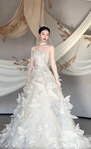 Gorgeous Ball Gown Starpless Tulle Butterfly Long Wedding Dresses C4104