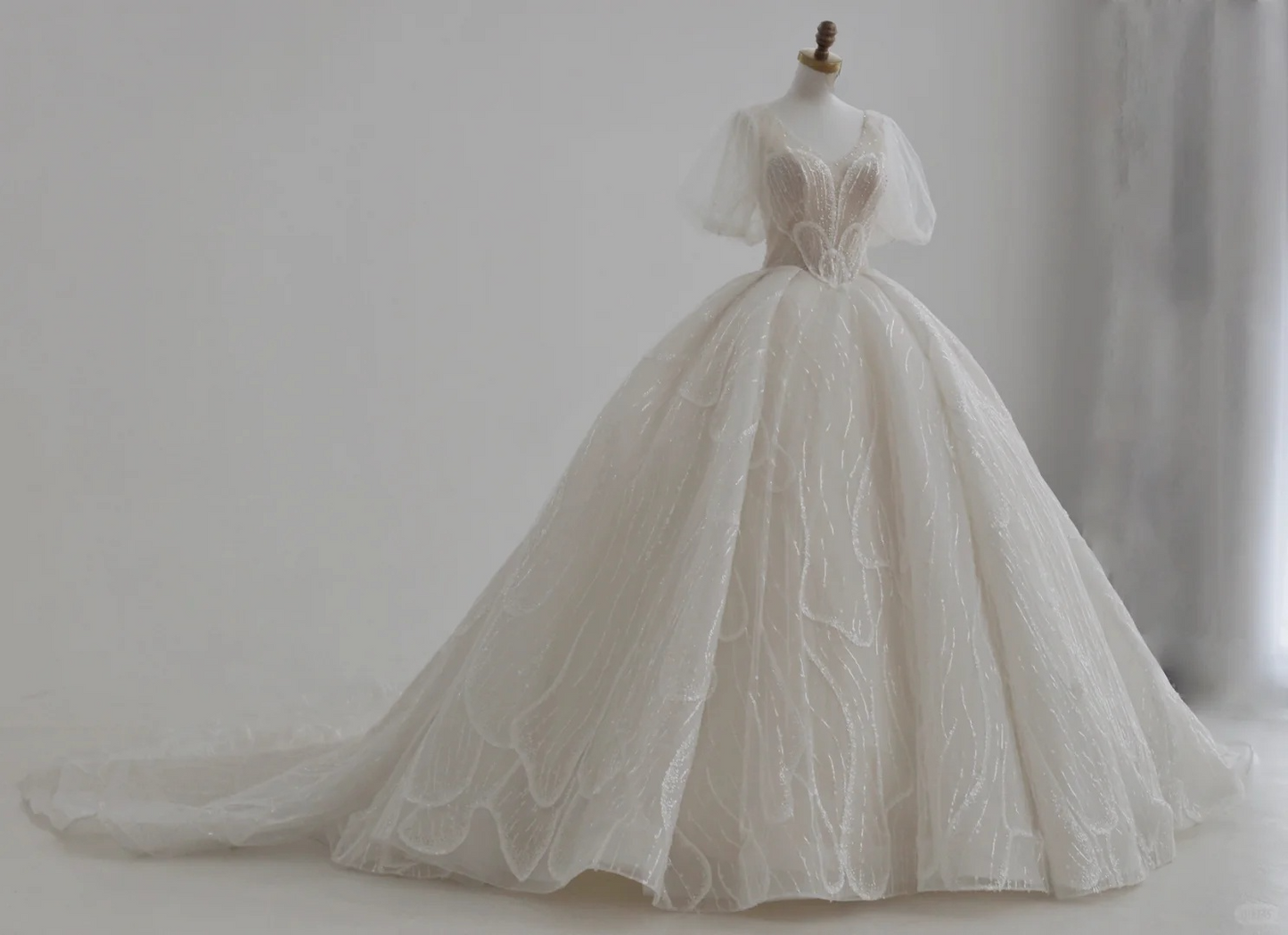 Classy Ball Gown V Neck Tulle Sequin Short Sleeves Long Wedding Dresses C4391