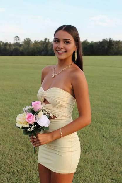 Vintage Beige Sweetheart Strapless Sheath Bodycon Homecoming Dress Party Dress Short Cocktail Dress TP4813