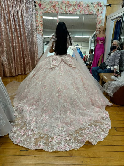 Sweet light pink princess dress sweetheart neckline bow tail A-line prom dress evening dress TP2767