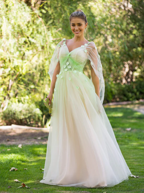 omberprom Elegant Evening Dress V-neck 3D Applique Floor Length Tulle Prom Dress