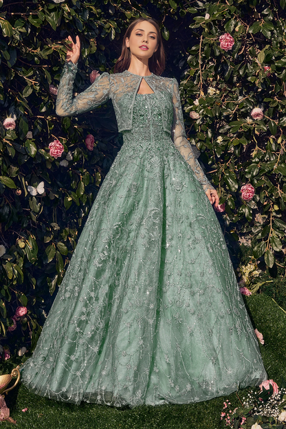 omberprom Fashionable and Beautiful A Line Evening Party Dress Long Sleeves Charming Prom Dresses