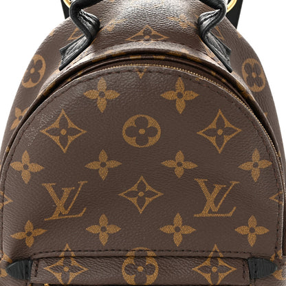 Monogram Palm Springs Backpack Mini