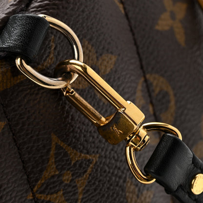 Monogram Palm Springs Backpack Mini