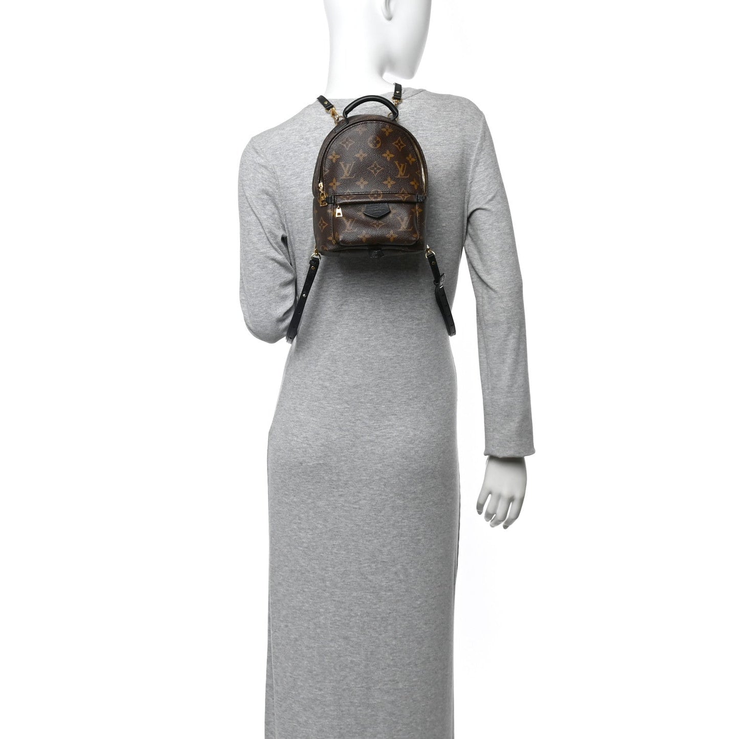Monogram Palm Springs Backpack Mini