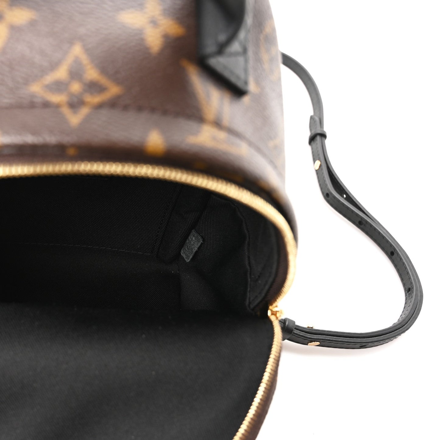 Monogram Palm Springs Backpack Mini