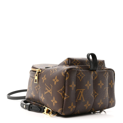 Monogram Palm Springs Backpack Mini