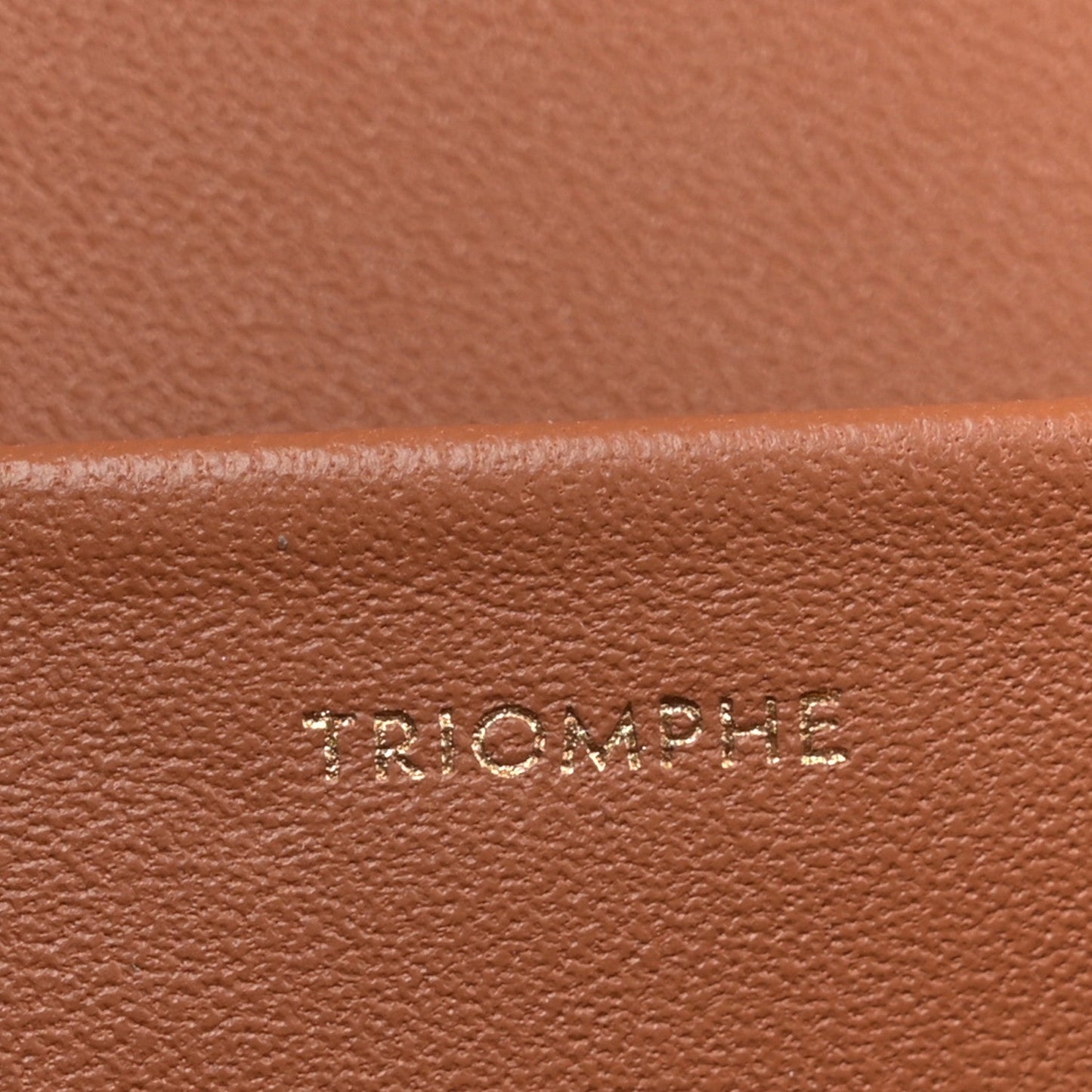 Triomphe Canvas Calfskin Medium Triomphe Bag Tan