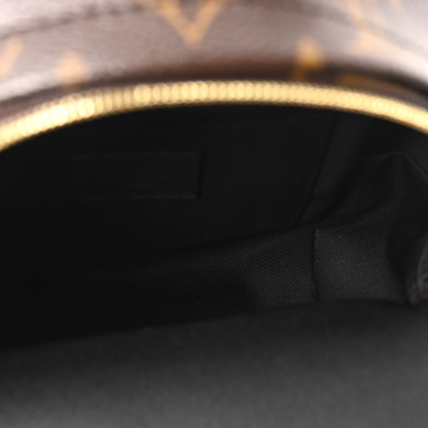 Monogram Palm Springs Backpack Mini