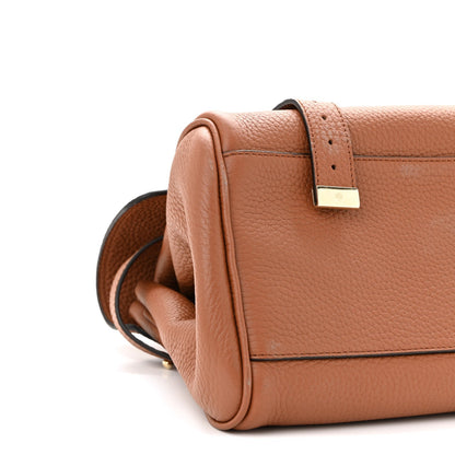 Heavy Grain Medium Alexa Chestnut