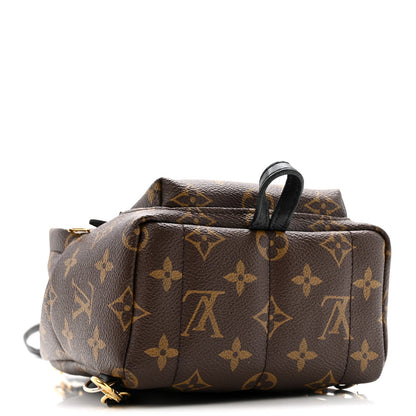 Monogram Palm Springs Backpack Mini