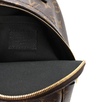 Monogram Palm Springs Backpack Mini