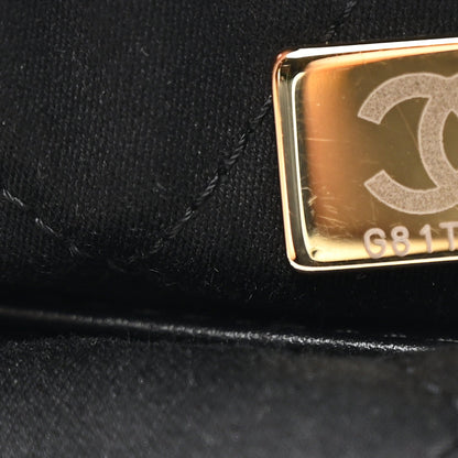 Shiny Calfskin Striped Mini Chanel 22 Black White