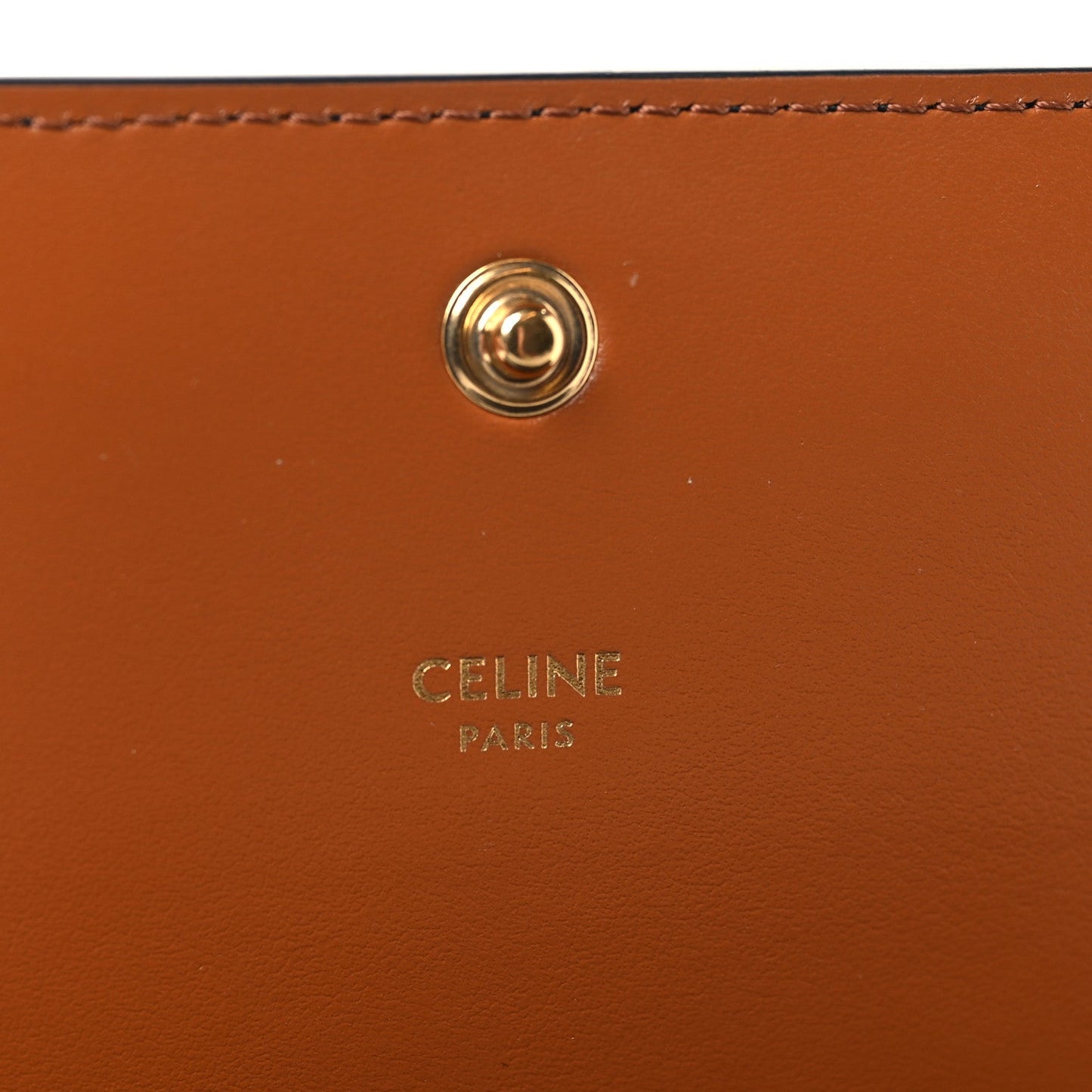 Triomphe Canvas Multipochette Tan